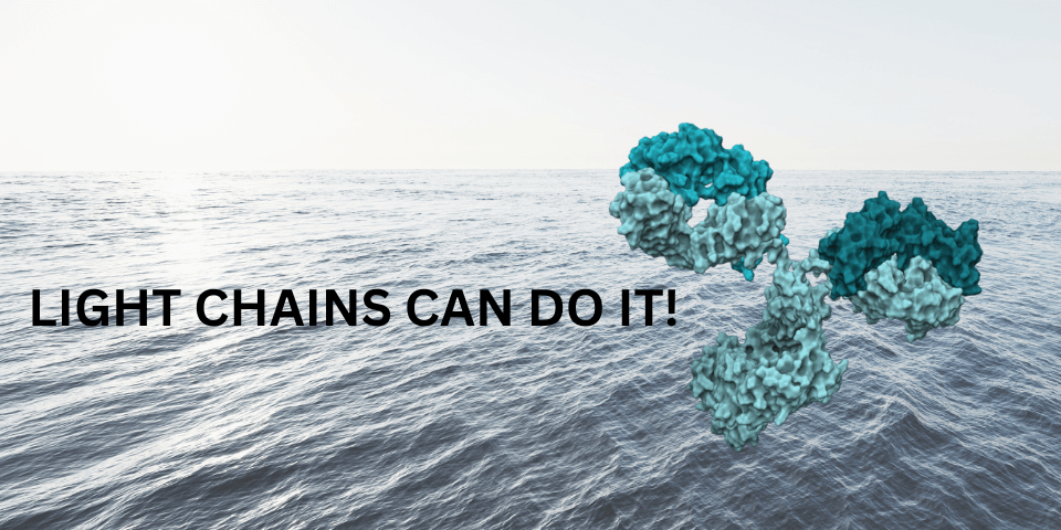 New publication in MABS 2024